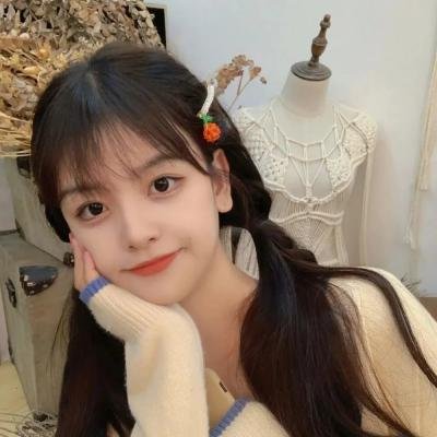 鹡鸰女神第一季
